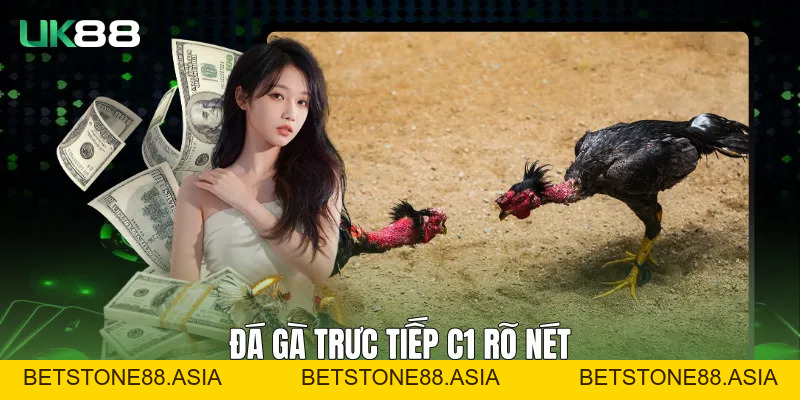 Đá Gà Trực Tiếp C1 UK88 Ổn Định, Rõ Nét Và Liền Mạch