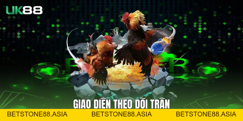 Đá Gà Cựa Dao UK88 Với Trải Nghiệm Đối Kháng Chuẩn Quốc Tế