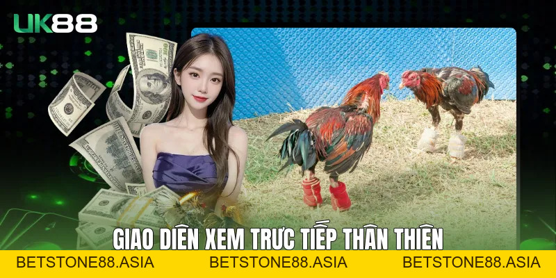 Đá Gà Trực Tiếp C1 UK88 Ổn Định, Rõ Nét Và Liền Mạch