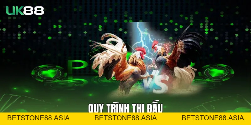 Đá Gà Cựa Dao UK88 Với Trải Nghiệm Đối Kháng Chuẩn Quốc Tế