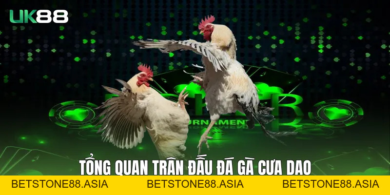 Đá Gà Cựa Dao UK88 Với Trải Nghiệm Đối Kháng Chuẩn Quốc Tế