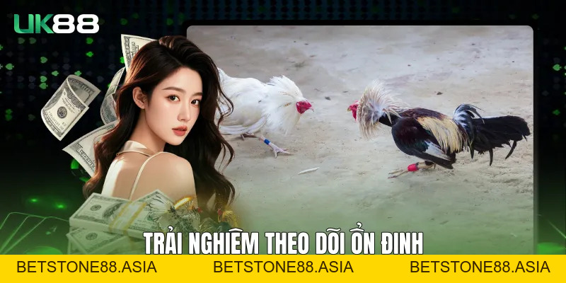 Đá Gà Trực Tiếp C1 UK88 Ổn Định, Rõ Nét Và Liền Mạch